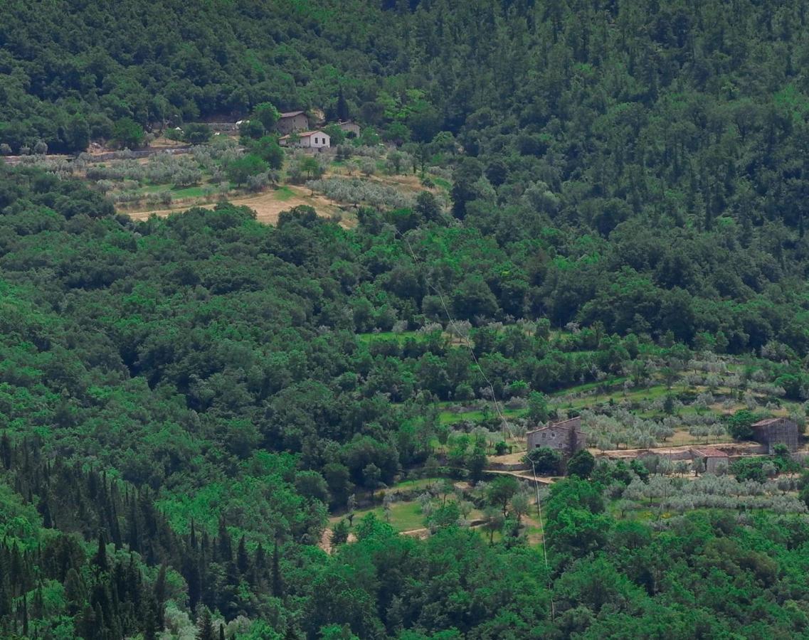 Villa Ancora Tenuta Lonciano Gualdo (Tuscany) Exterior foto